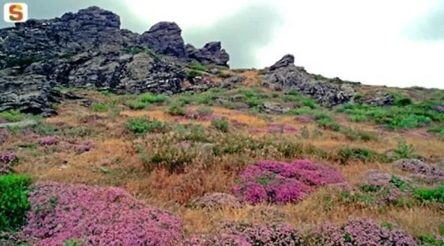 Alojamento de Turismo Rural Agriturismo S'Armidda Seùlo