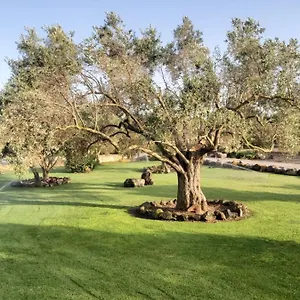 Su Sattisceddu Séjour à la ferme
